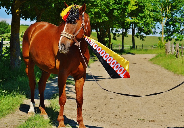 不得不进入 不得不进入