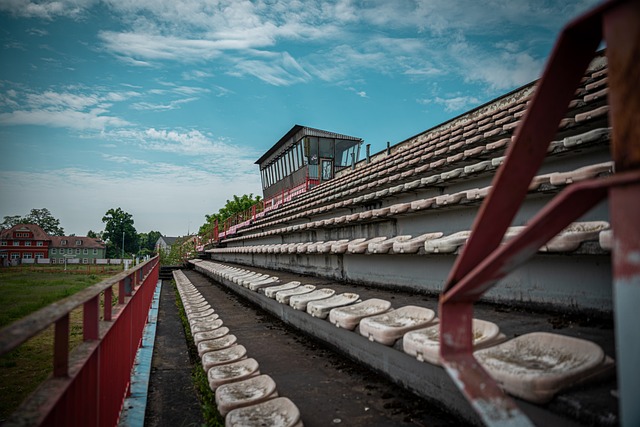 的大学生 的大学生