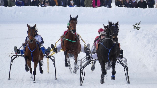 中国代表团 中国代表团