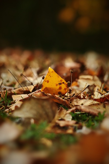 环境中寻求 环境中寻求