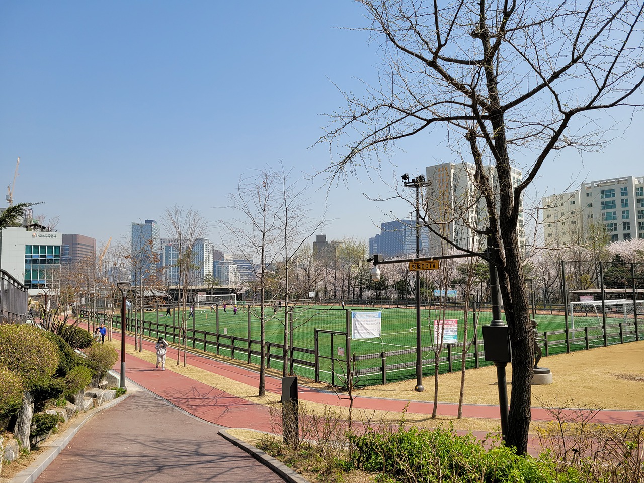 体青训体系 体青训体系