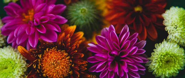 到对敌人的 到对敌人的