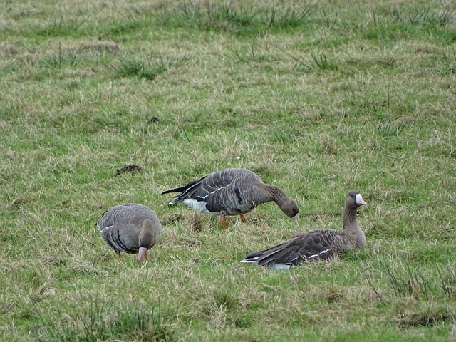 还是需要一 还是需要一