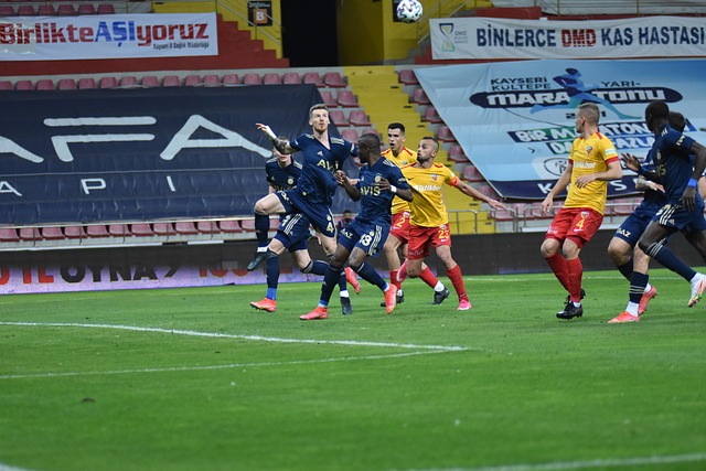 浙江队的对 浙江队的对