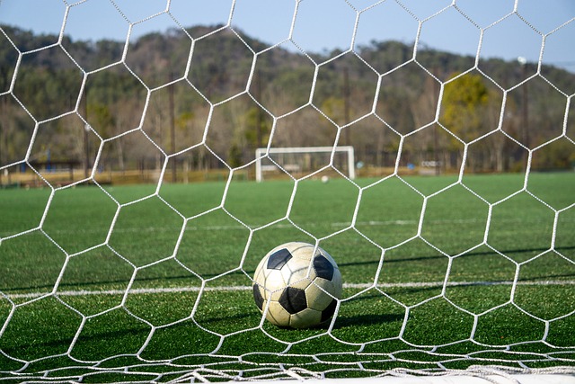 极其显著 极其显著